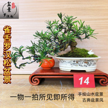 ɰܻմNGֲLLɽˮ辰_hЇLŵ