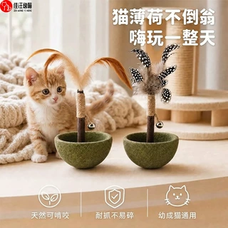 猫薄荷不倒翁猫咪自嗨解闷玩具木天蓼零食磨牙洁齿羽毛宠物玩具