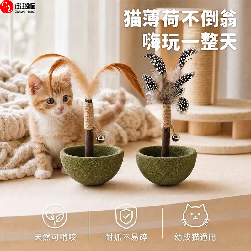 Catnip tumbler toy for cats to entertain themselves, mints, treats, dental chew, feather pet toy