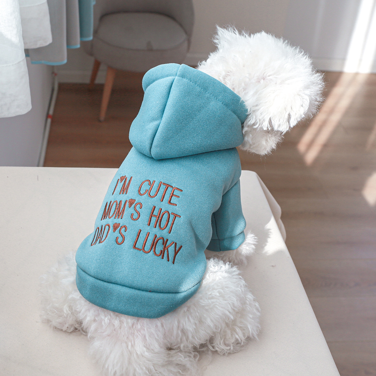 Casual Polyester Letter Pet Clothing display picture 2