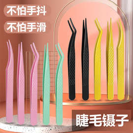 睫毛镊子金羽夹不锈钢镊子彩色网纹防滑新手钝头美睫小镊子海豚夹