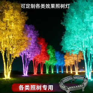 led̫��ܱ�����h�Α����ˮͥԺ�՘�����^�������ľ�������