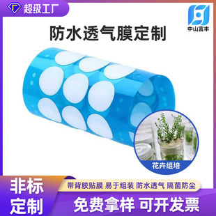 Wholesale Square Bacteria Isolation and Yield-Increasing Tissue Culture Membrane Eptfe Membrane Die-Cut Microporous Filter Membrane Round Flower Waterproof Breathable Membrane