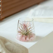 �՚��P��o��ֲ������҃Ⱦ��`�[���k��������Gֲ���Ԅ��⻨��