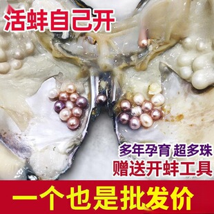 ������Լ��_��ȡ���鵭ˮ������Ӱ���������r����մ����l����