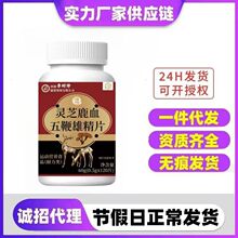 ������ʳ-�`֥¹Ѫ����۾�Ƭ��������ƴ������N�������l���l��