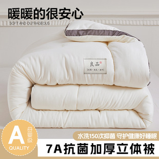 Unprinted Fiber Quilt 7A Antibacterial Stereo Winter Quilt Spring and Autumn Warm Quilt Core Four Seasons Universal Double Quilt