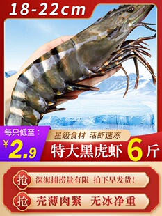 �ڻ��r�r���ϻ��r�ك��ش��r�����r�r�r���r�o����߾Ź��r