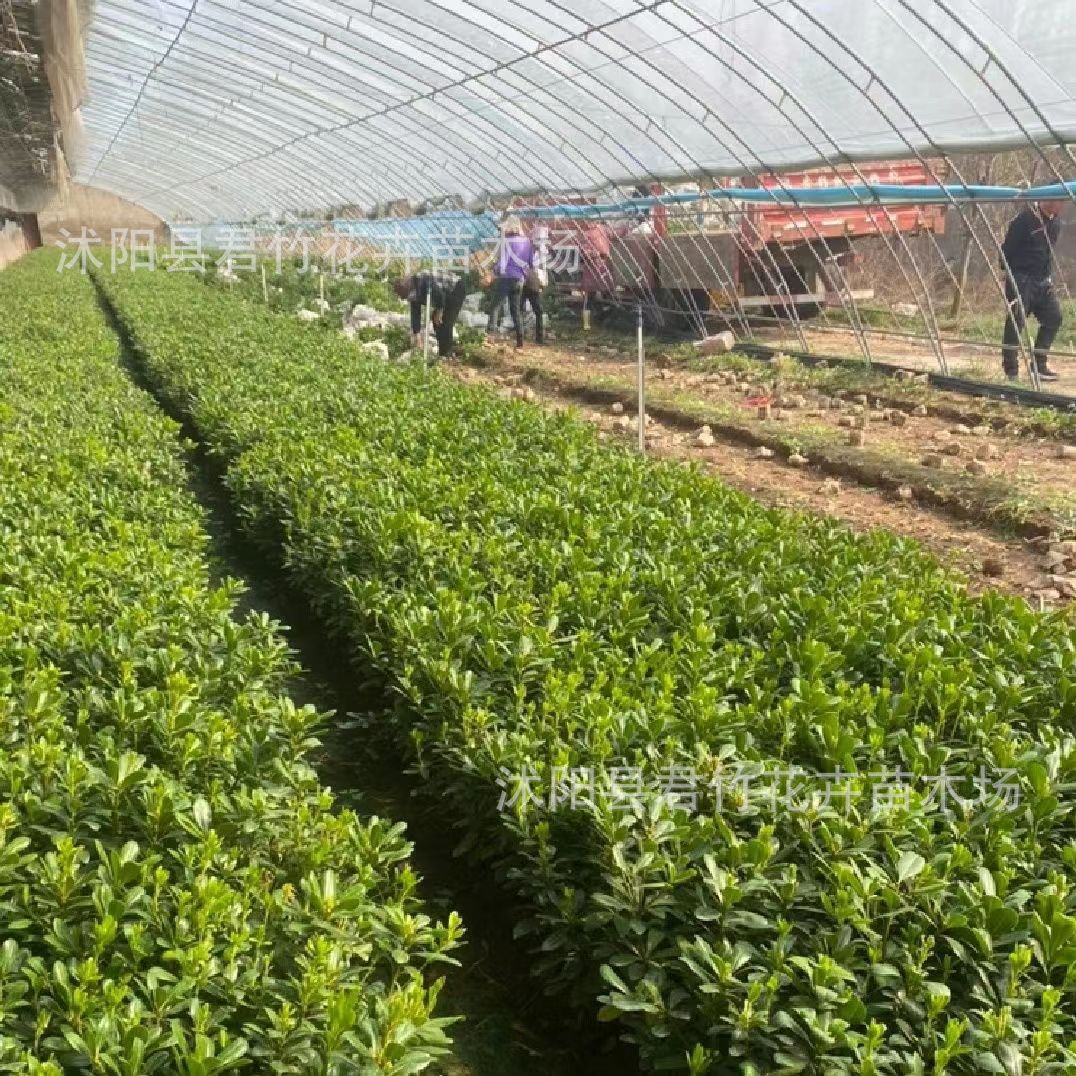 微信图片_20230828140101