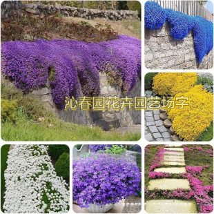 �羳��Ʒ��ɫ�������N��������������N�����l���������N��