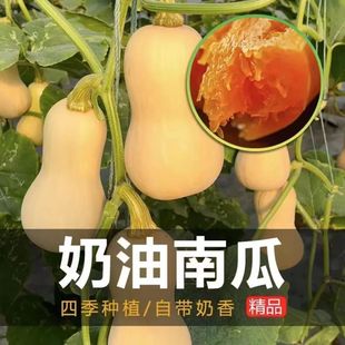 �����ϹϷN�Ӵ����＾�ļ������۱���Ŵ�t���������ó��ϹϷN����