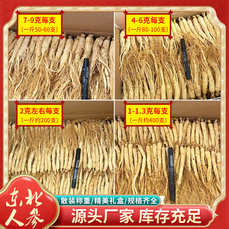 白参东北人参干参长白山参全须生晒参整枝边条参化妆品洗发水加工
