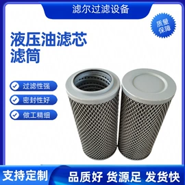 滤芯;滤筒;其他过滤设备