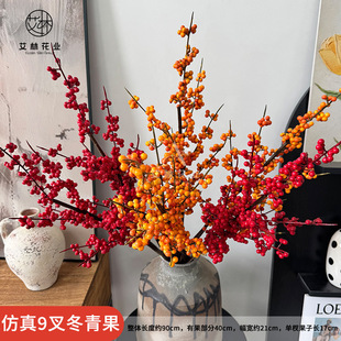 ����9�涬����t�����l�S���r��֦�F���F�l����������ϲ�c�[��