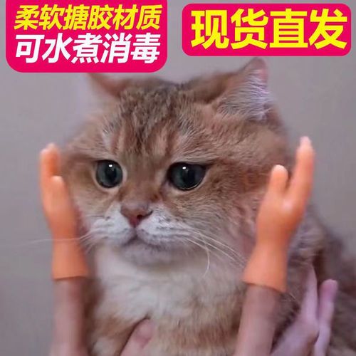 Matching rubber cat claw finger sleeves cat toys rubber finger pet supplies direct factory sales