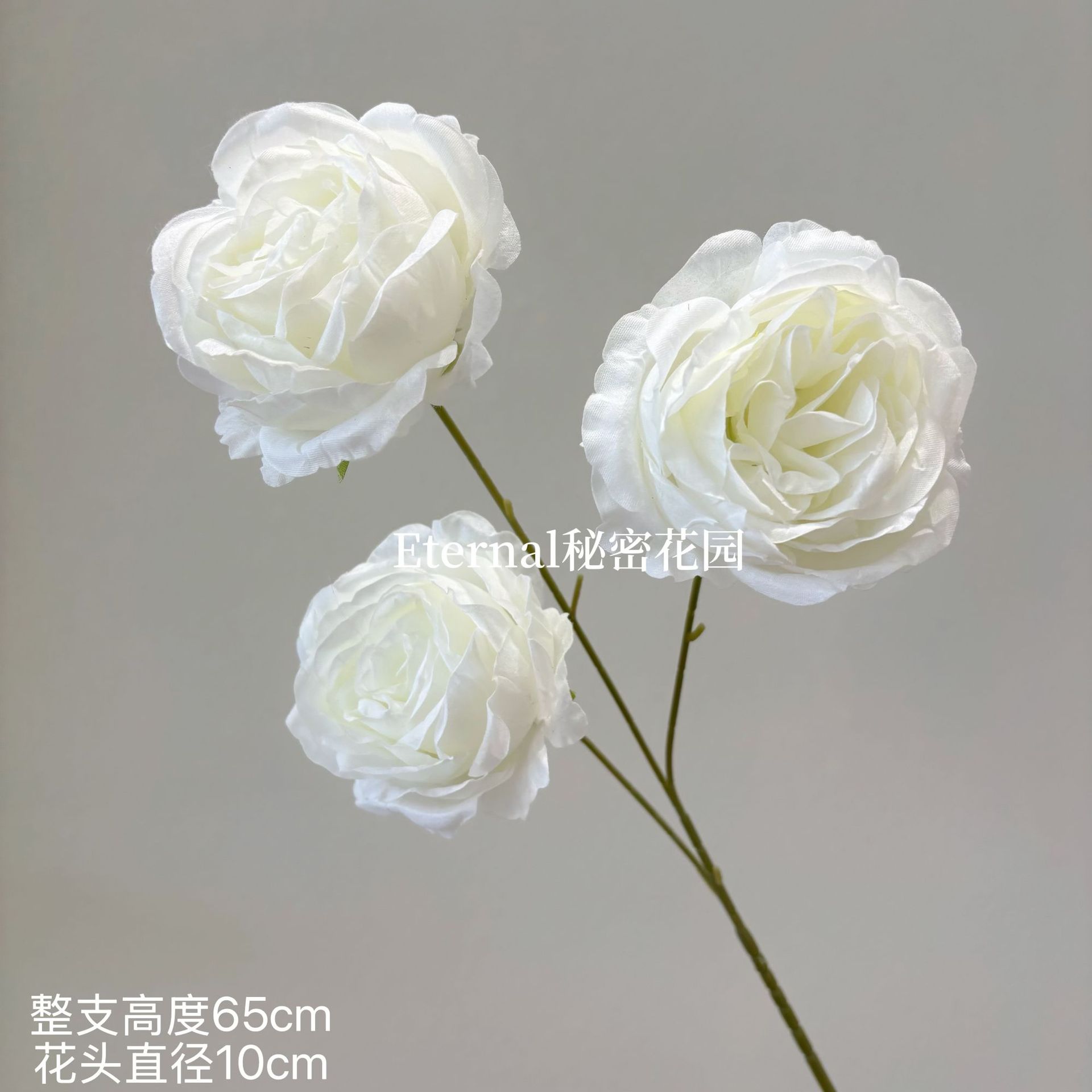 바오신메이