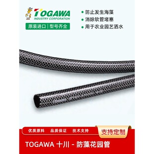 TOGAWA�ձ�ʮ����͸�����ܛ���r�I�@ˇ��ˮˮ��