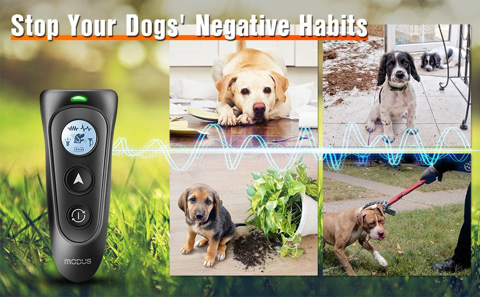 55bdfb1b-2b59-4a11-8702-fe8174