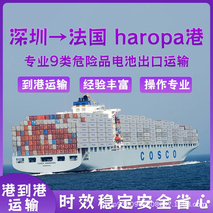 Преобразование соединительных литиевых батарей Шэньчжэнь FCL/LCL Морской CIF в порт Харопа, Франция