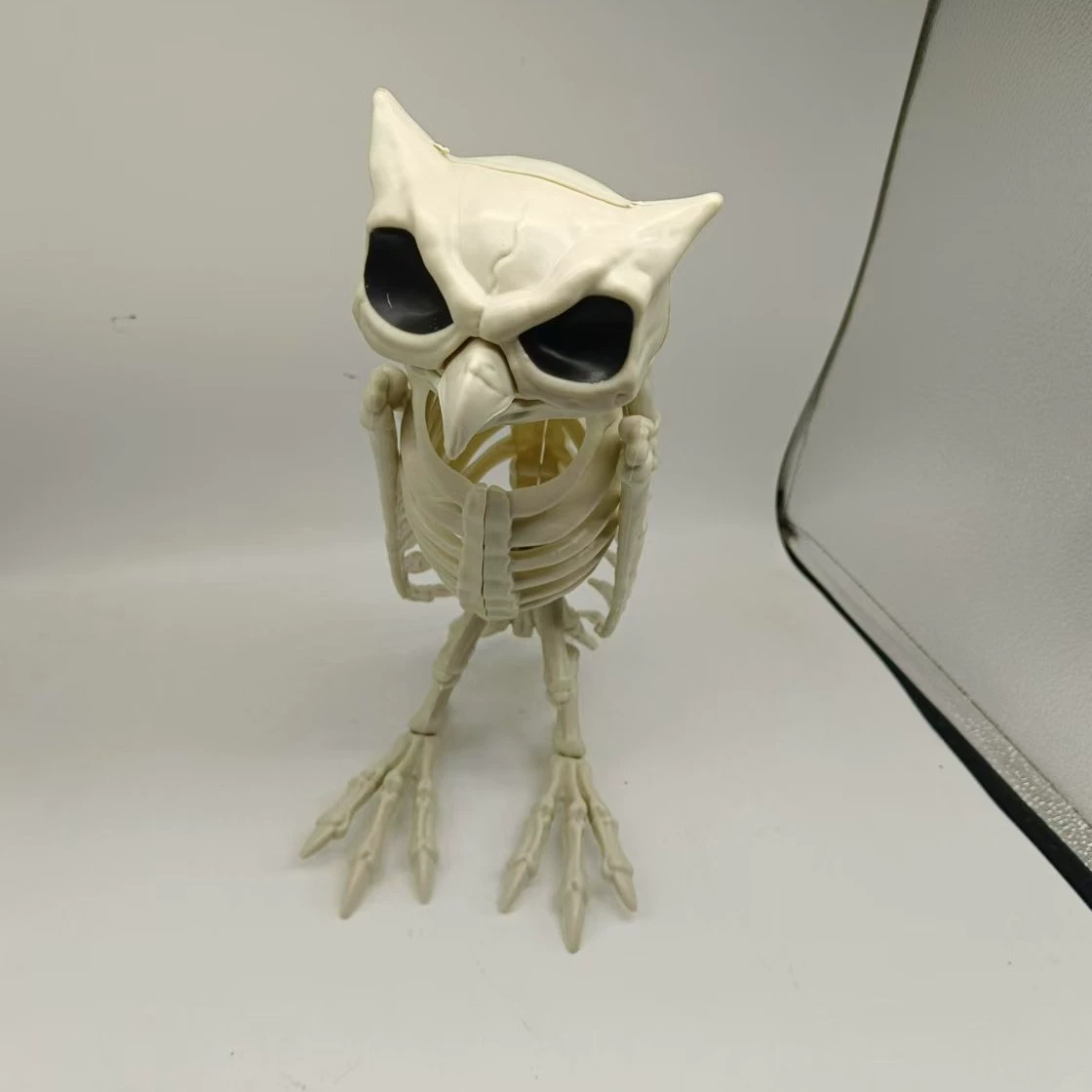 Realistic skeleton, halloween, owl