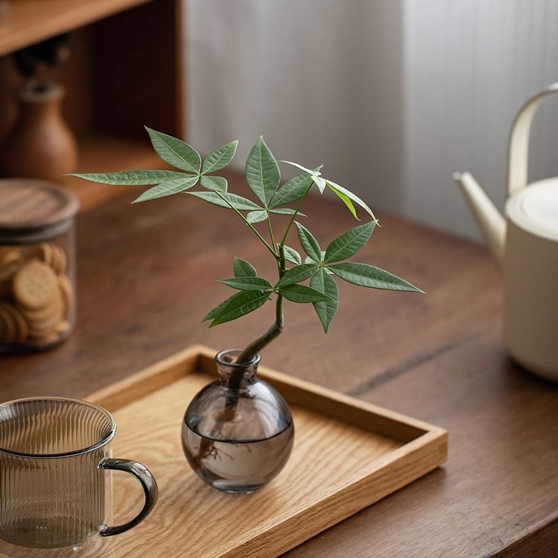 5f1d6892-4edf-4208-80e9-f44601dc9a4d.jpe