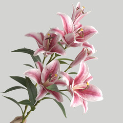 仿真手感3頭香水百合假花 客廳家居擺件仿真假花白色虎蘭花束