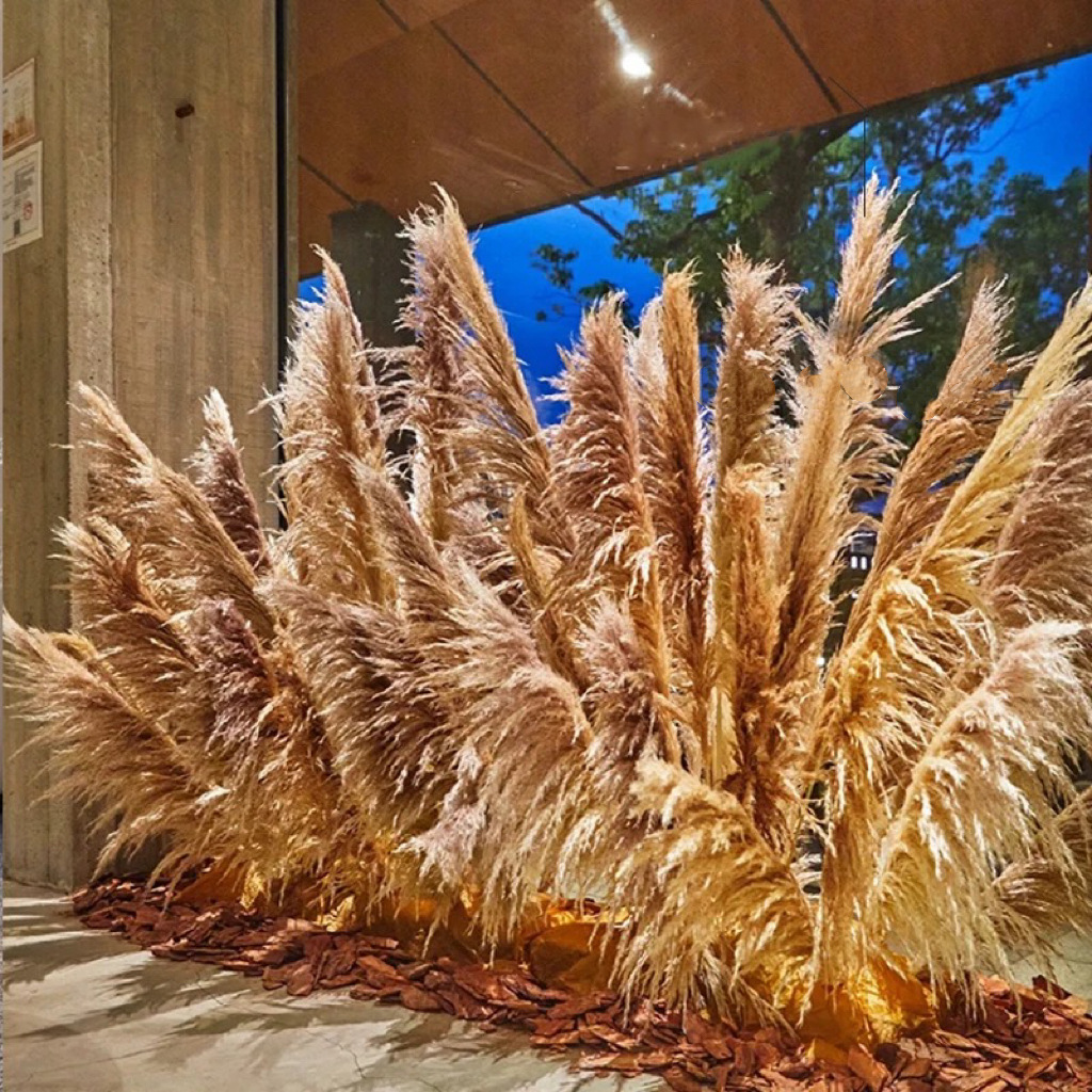 a6488b513ca58f9ab56919c92bc46e