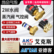 AKS����˹ȫͭ��ŷ�2W025-08/040-10/2W160-15/250-25-50-40ˮ��