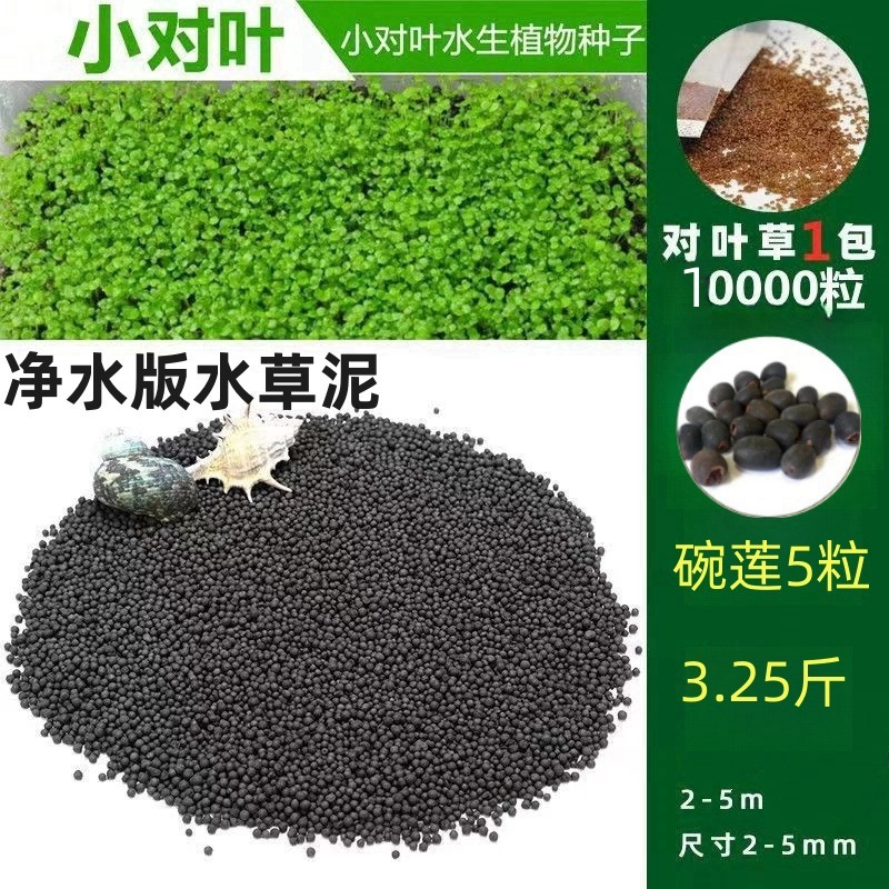 [핫세일] 워터그라스머드 1.625kg - 작은 쌍잎 10,000개 + 그릇연꽃 5개 무료