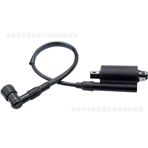 Suitable for John Deere 4X2 6X4 Gator Gas Homologated High-Voltage Ignition Coil