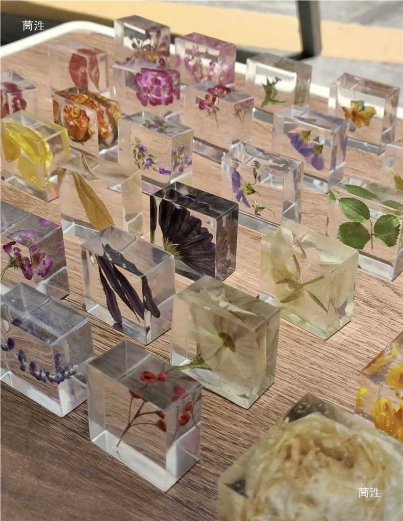 植物滴胶方块标本模具 手作干花种子植物立体标本制作diy滴胶材料-阿里巴巴