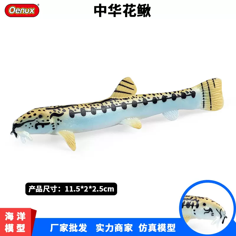 跨境海洋生物动物仿真实心模型中华花鳅花泥鳅儿童认知塑胶玩具