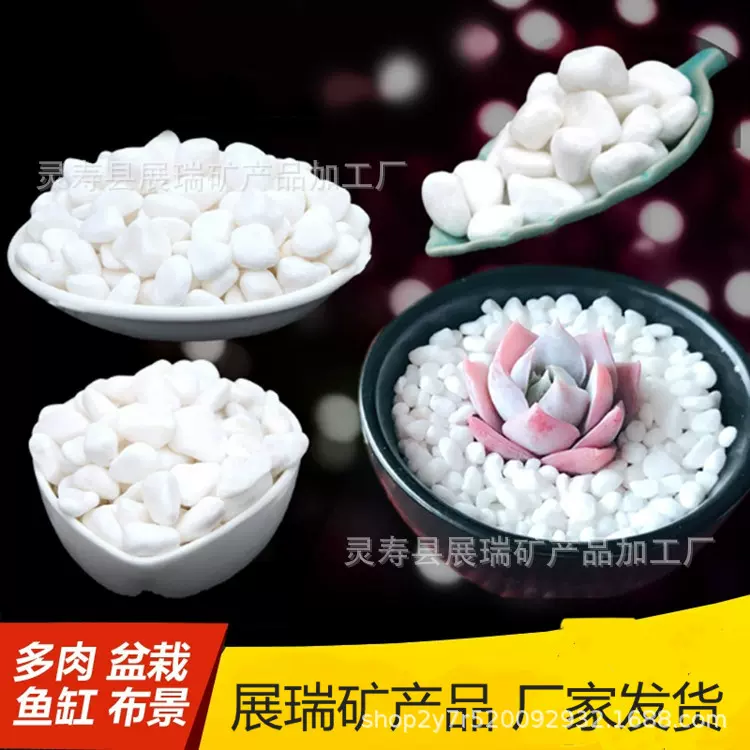 厂家定制多种白色石子白色砾石水磨石地面白石子工程造景用白石子