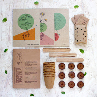 ���R�d�S�����l�_�շN�������׼���ͯ���ֿɽ��⼈�{���Nֲ���b