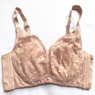 Lace Rabbit Ears Thin Comfortable Soft Steel Rings Bra Push-up Adjustable Women's Underwear 2523