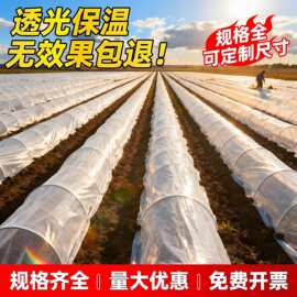 展畅小拱棚膜加厚塑料布透明薄膜防雨挡风遮盖大棚膜菜园种菜专用