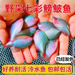 �߲����Q�~ ���w���Q�~ ��Ƭ�~ ��ˮ�~ ԭ���~ Ƥ���ͻ����ֺ��B