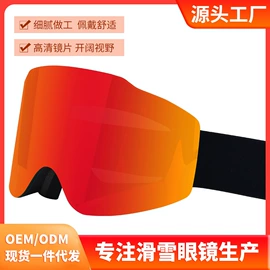 骑行眼镜;滑雪镜;宠物鞋靴