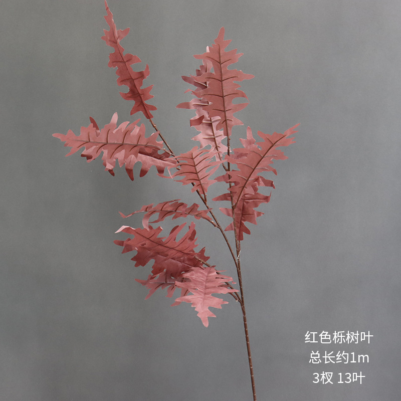 붉은 참나무 잎