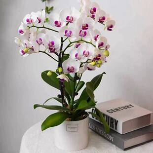 �����m���玧����2.8�������҃ȿ͏d�����̨�Gֲ�ļ��_��������