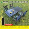 120 extended table + 4 leaf folding chairs