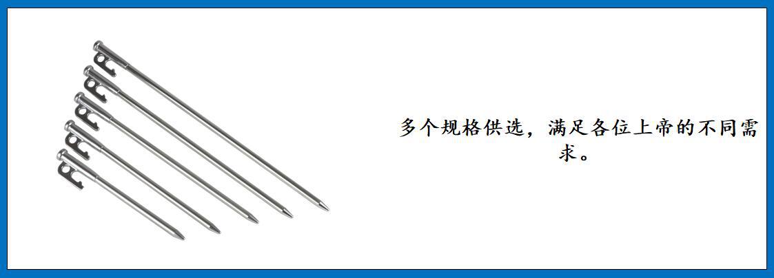 ZB7801 NBP地钉 细节图-3.jpg