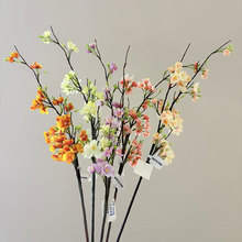 ���溣�Ļ� Ԫ��������������Ͱ��c�Ҿ��b��쾰�� ���滨���l