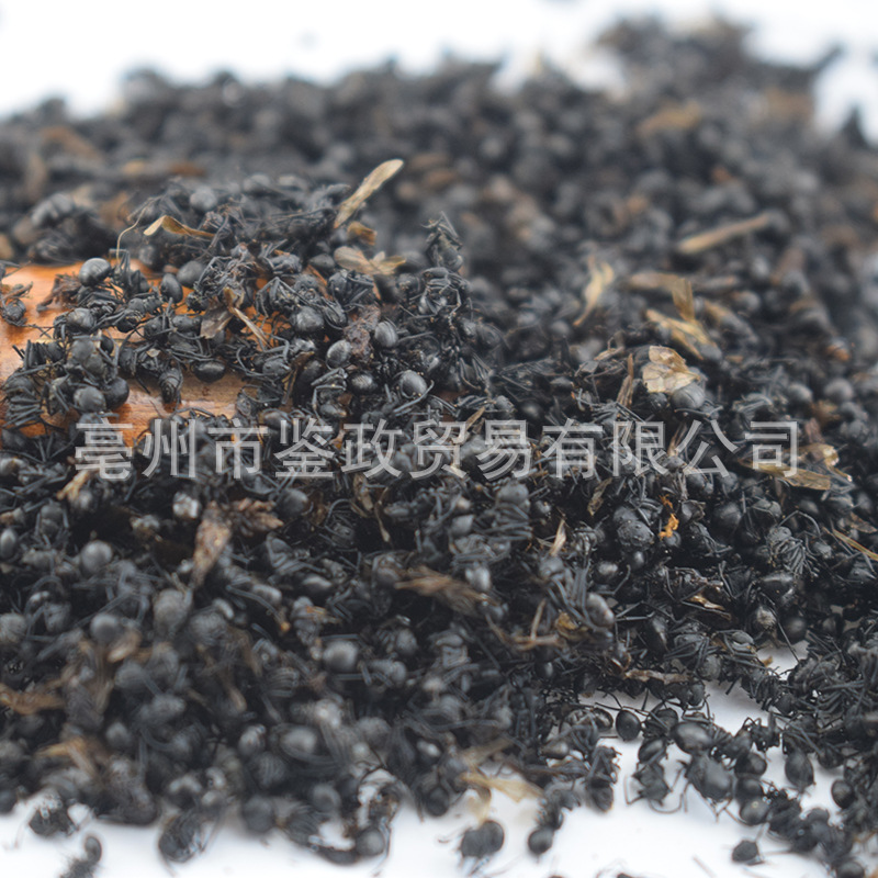 Dried Black Ant Whole Insect 500g Traditional Chinese Herbal Material for Infusion and Decoction Use key features