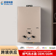 浴室通用多功能热水器 烟道式即热恒温热水器 家用天然气热水器