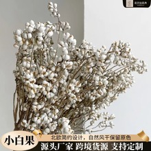 С�׹��ɻ������������޲�װ��׹����hDIY�ɻ����ϏS�����l�Q��
