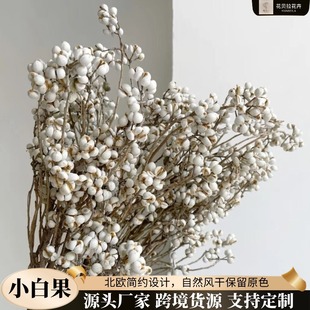 С�׹��ɻ������������޲�װ��׹����hDIY�ɻ����ϏS�����l�Q��