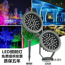 �՘�����^���led���������ˮͶ�����؟���ƺ��@����̫��