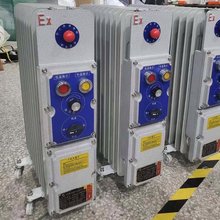 BDR防爆电热油汀 防爆取暖密闭式油汀取暖器 3KW工业取暖器