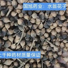 ���l���|��ș���䱳ș��ˮ�̻��Ӯa��ֱ�l����ă�  ˮ�q����